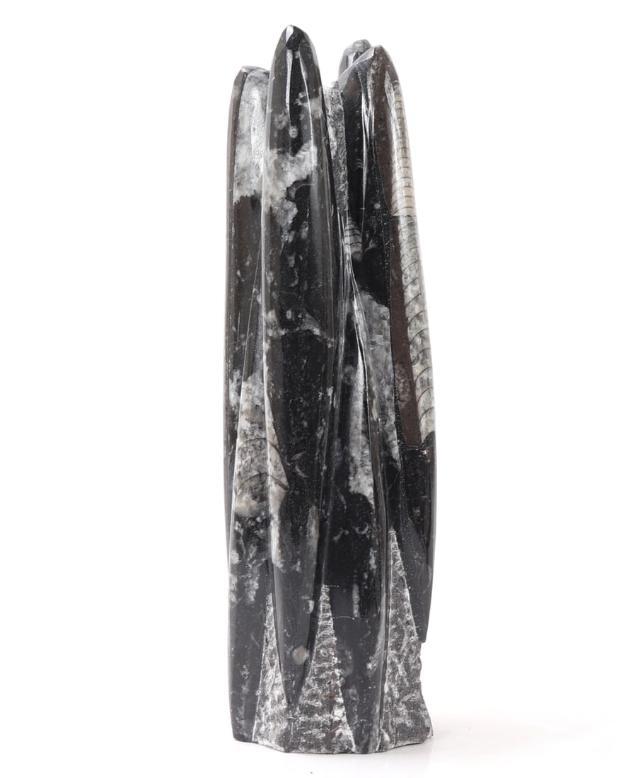 Lovely Orthoceras Fossil Tower: Wonderful fossilized Orthoceras in a perfect tower shape with a cut flat base. Orthoceras are conical-shelled nautiloids found throughout the Paleozoic and Triassic era. Size 8" H x 3" W weight 1120g