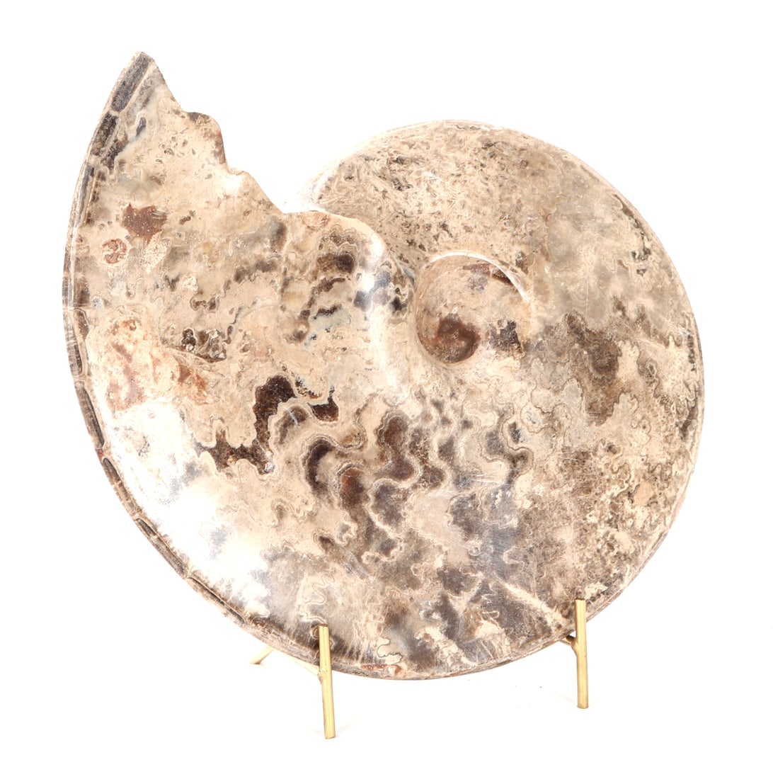 Incredible Large Ancient Ammonite Fossil on Stand: Wonderfully preserved ancient ammonite fossil specimen with classic spiraled body. Incredible coloration throughout including warm earth brown and bright red coloring throughout. Some areas of crystal