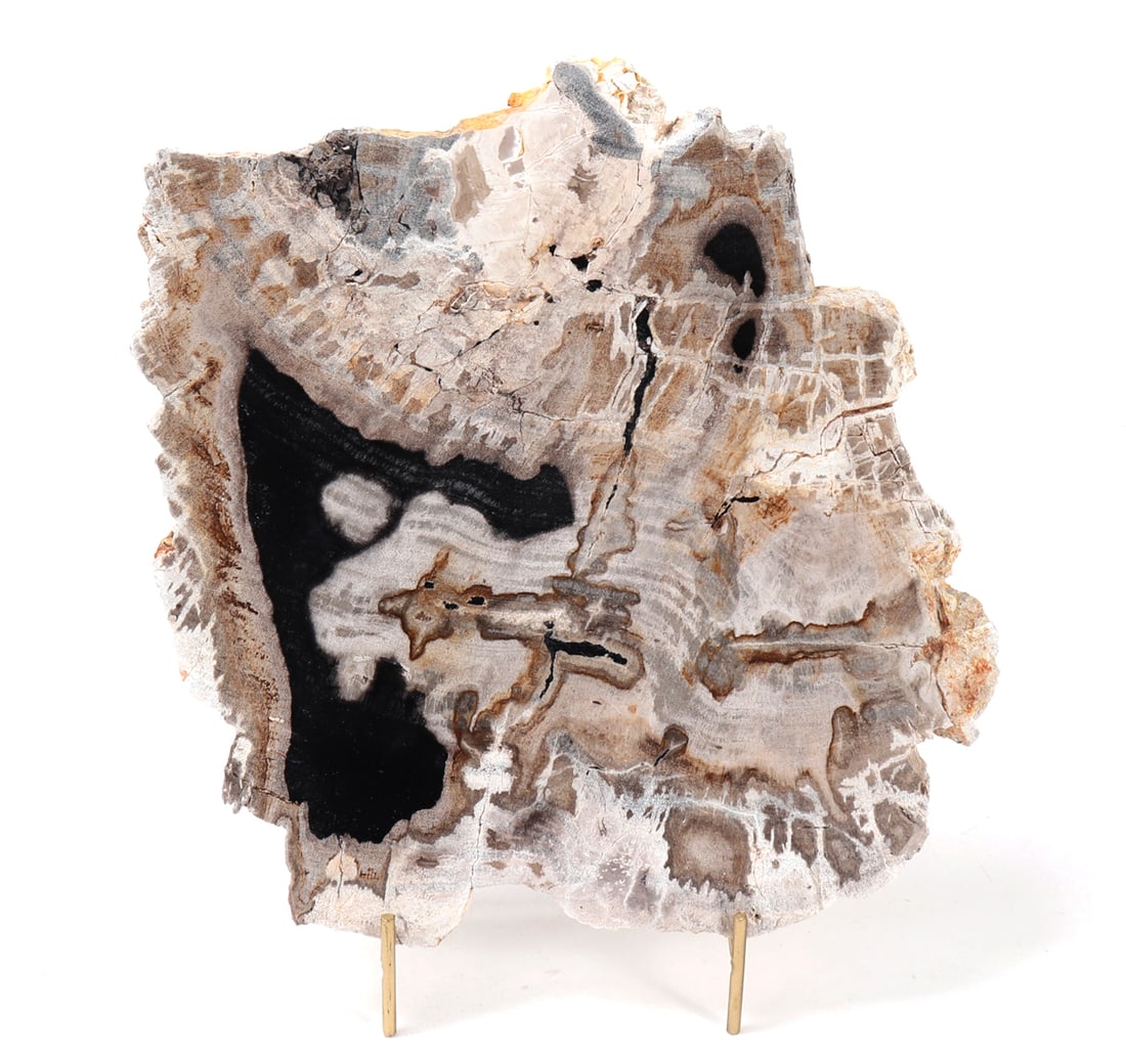 Ancient Petrified Wood Slab with Stand (1 of 9)