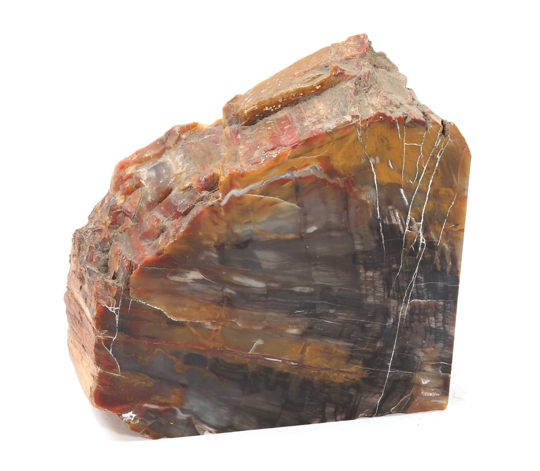 Petrified Wood Bookend Section (1 of 5)