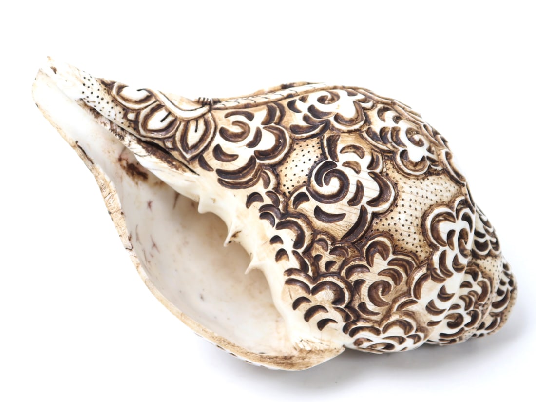 Vajrayogini Buddha Conch Shell Horn - 4