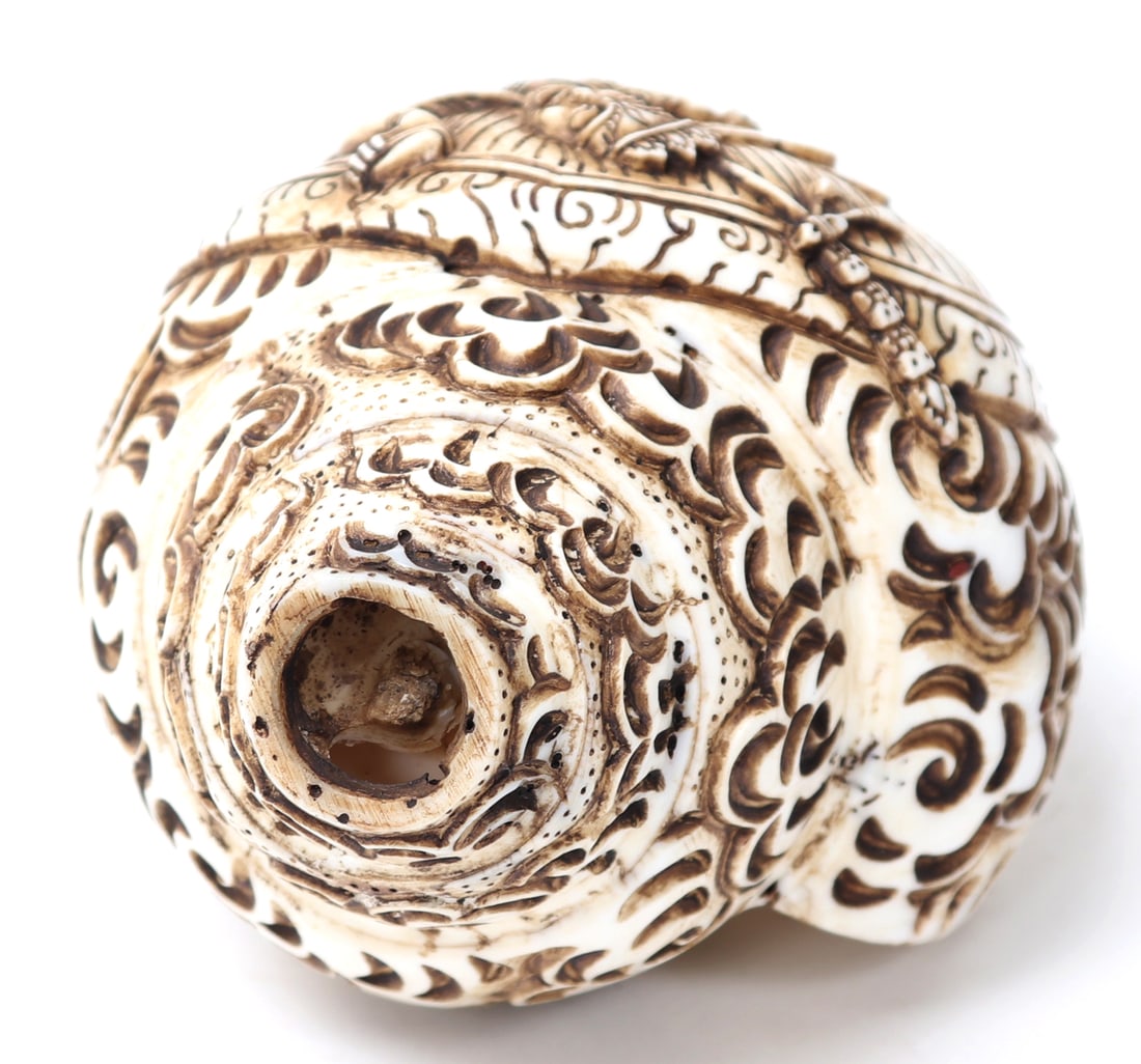 Vajrayogini Buddha Conch Shell Horn - 5