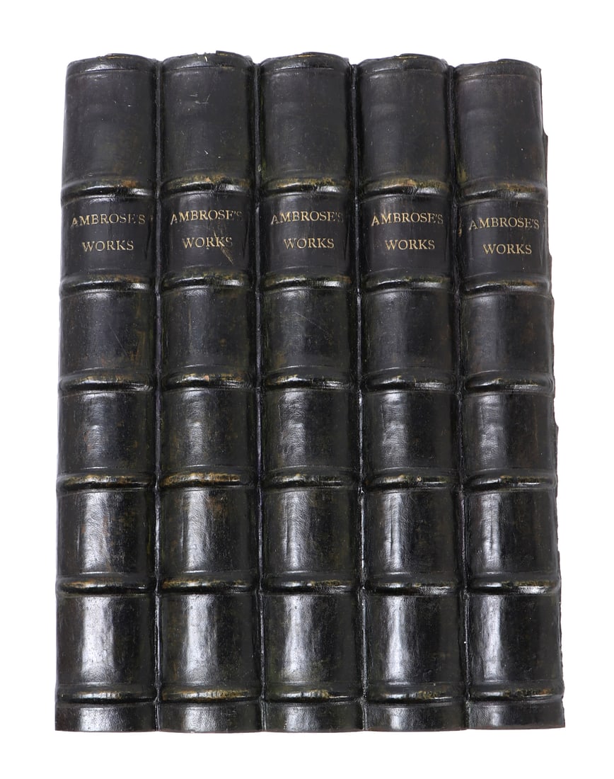 Faux Painted Book Spines (8) - 5