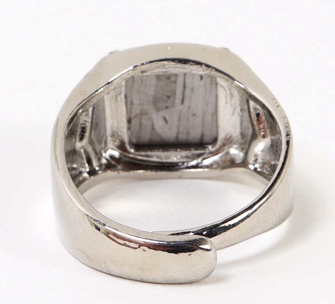 Beautiful Meteorite Slab Ring - 3