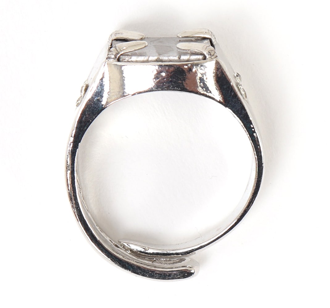 Beautiful Meteorite Slab Ring - 4