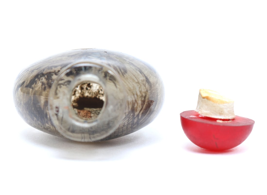 Chinese Reverse Painted Snuff Bottle - 6
