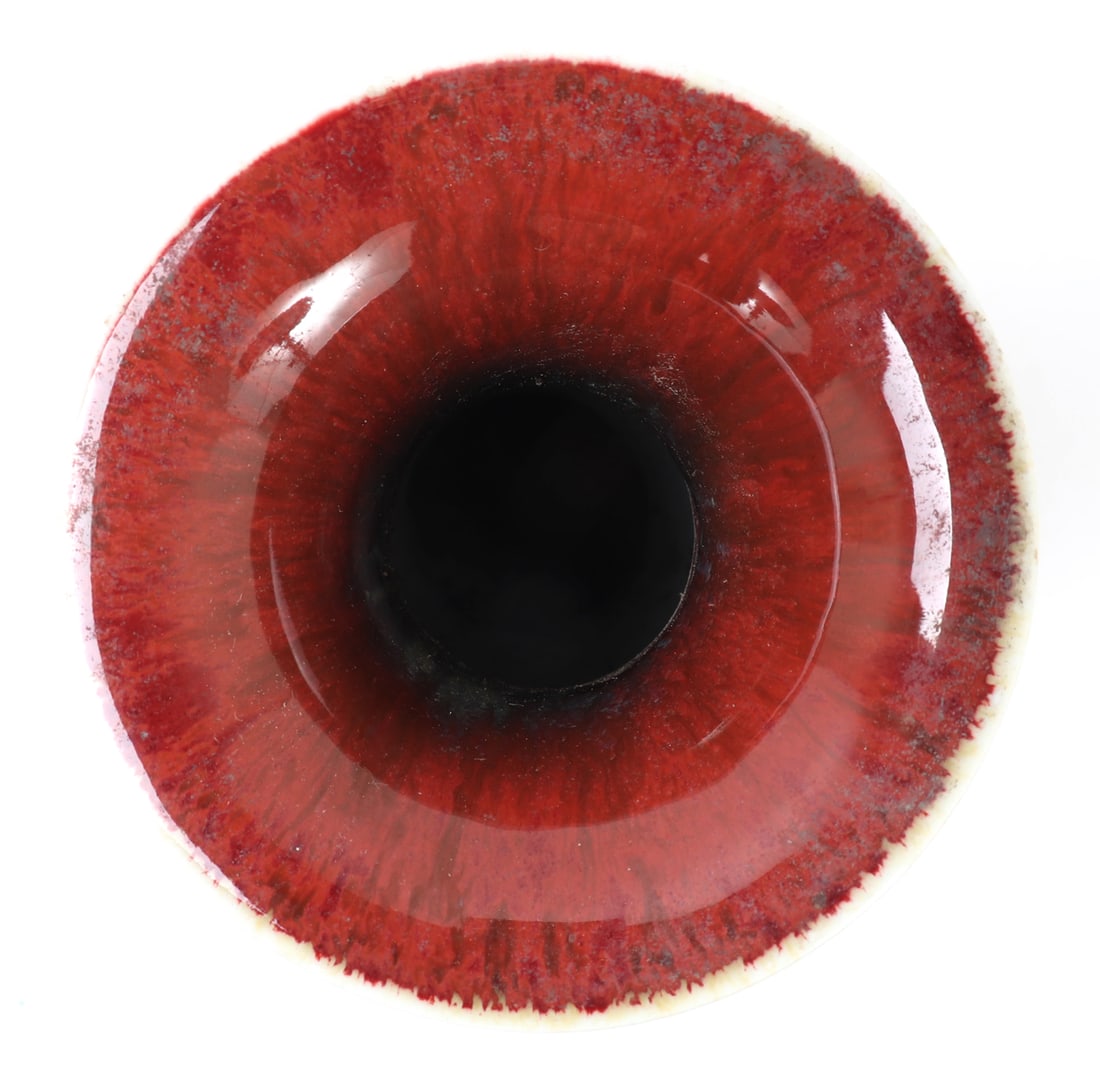 Chinese Multicolored Porcelain Vase - 4