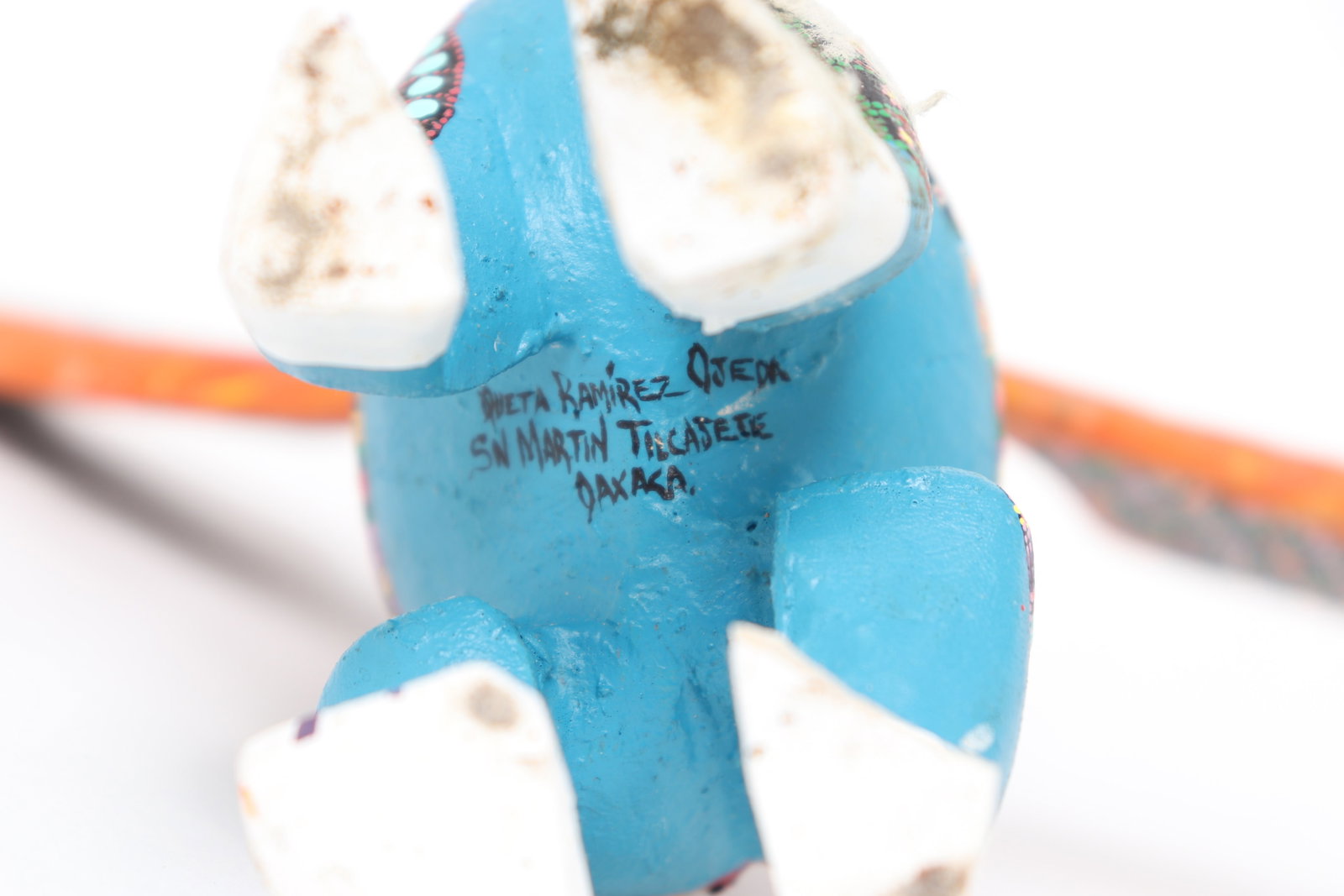 Adorable Indonesian Painted Bird - 10