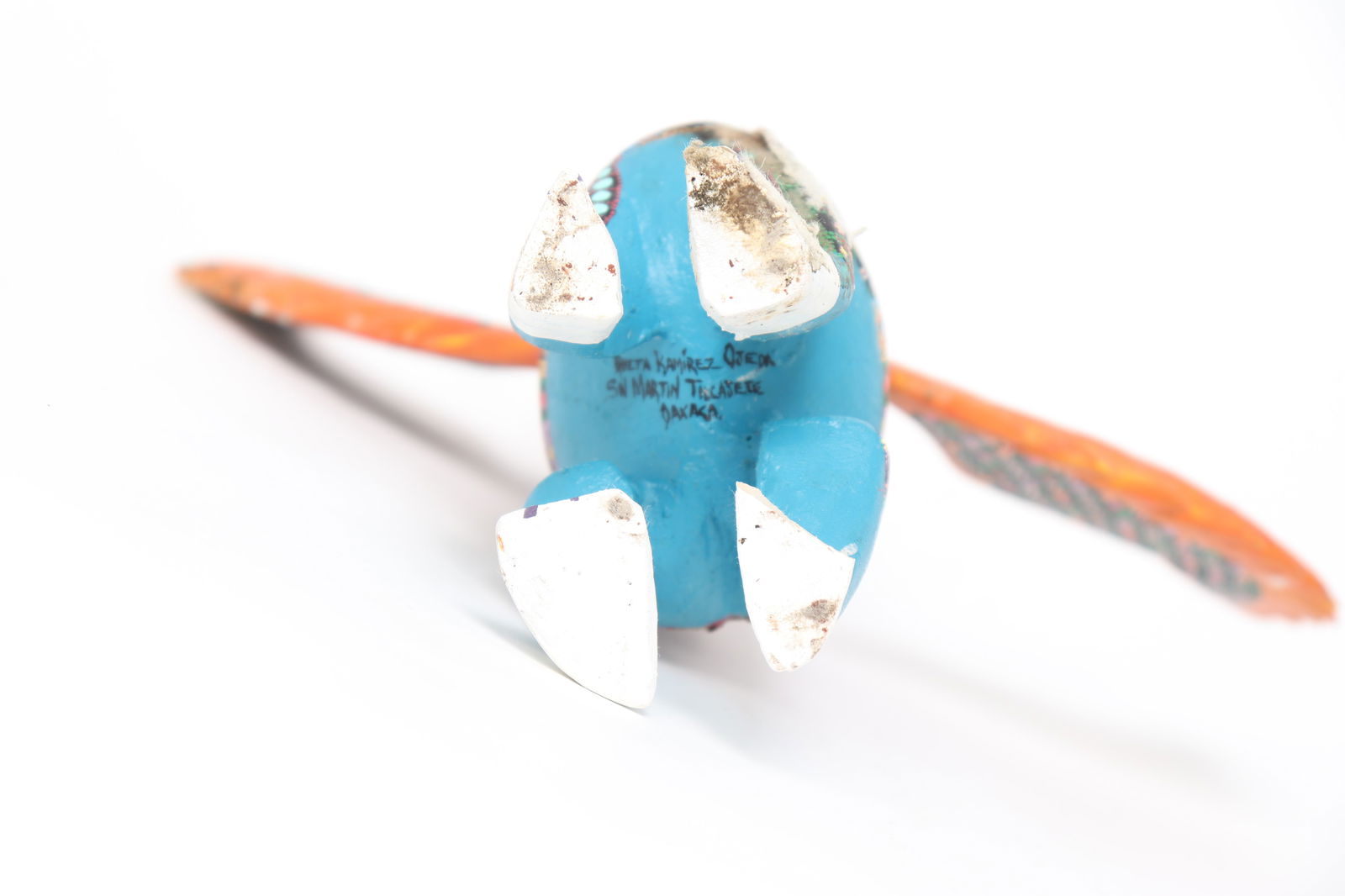 Adorable Indonesian Painted Bird - 7