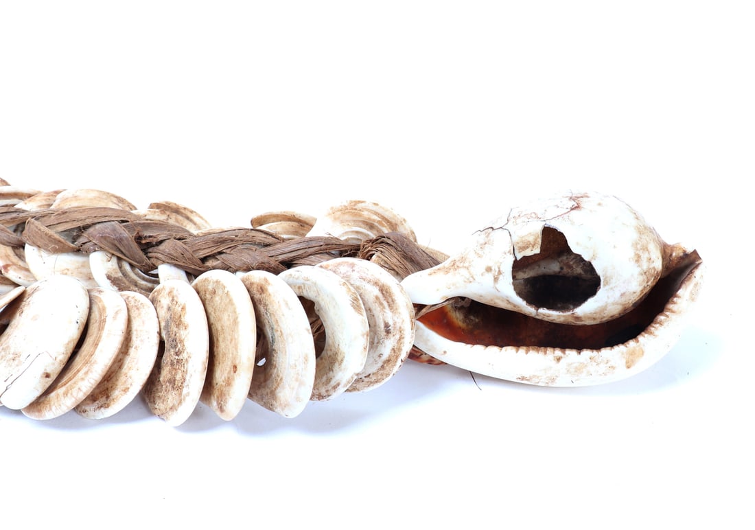 Handsome Shell Necklace, Philippines - 6