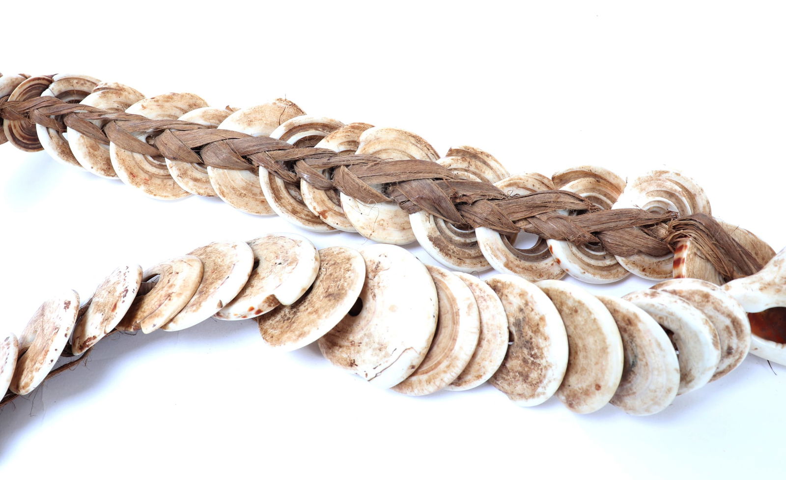 Handsome Shell Necklace, Philippines - 7