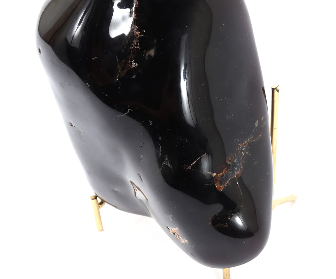 Wonderful Raw Amber Section on Stand - 6