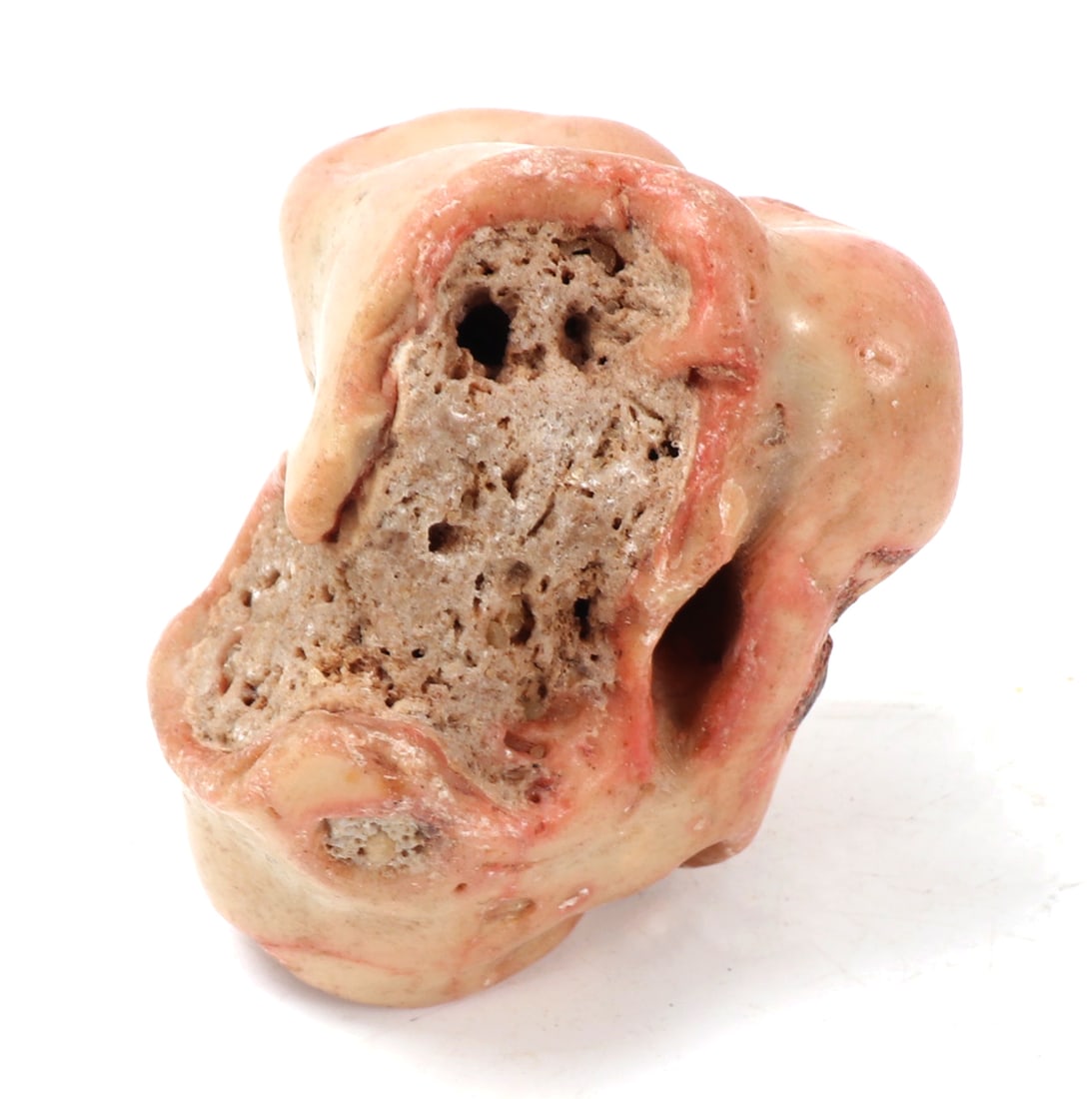 Beautiful Section of Raw Pink Coral: Fine raw section of old pink coral with beautiful color remaining throughout. Natural root seen inside the coral throughout. Size 2" L x 2" W x 2 1/2" H, weight 153g