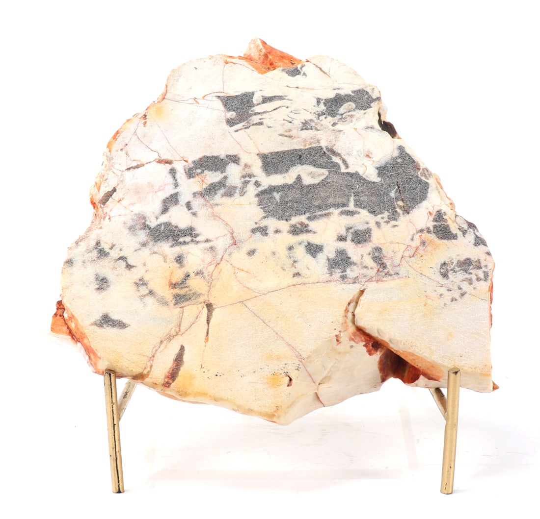 Wonderful Bright Ancient Fossilized Wood on Stand: Beautiful section of petrified wood with a mix of colors, including white, orange, red, and gray. White and lighter portions comes from dried sap, while the orange and red could indicate preserved