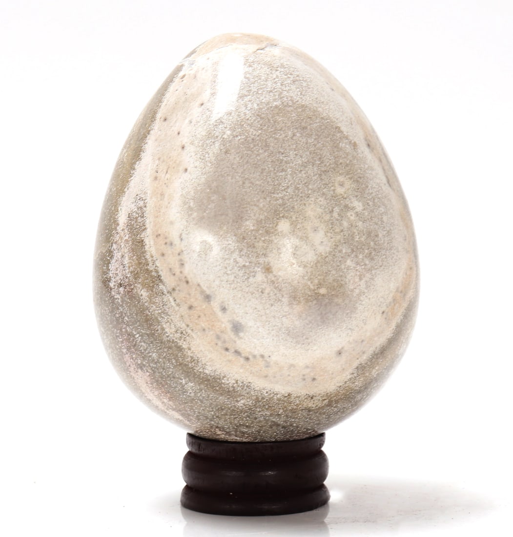 Wonderful Egg Shaped Fossilized Bone w/Stand: Ancient fossilized bone section cut and polished into a perfect egg shape with incredible coloring throughout. Size 3 1/4" H on custom stand