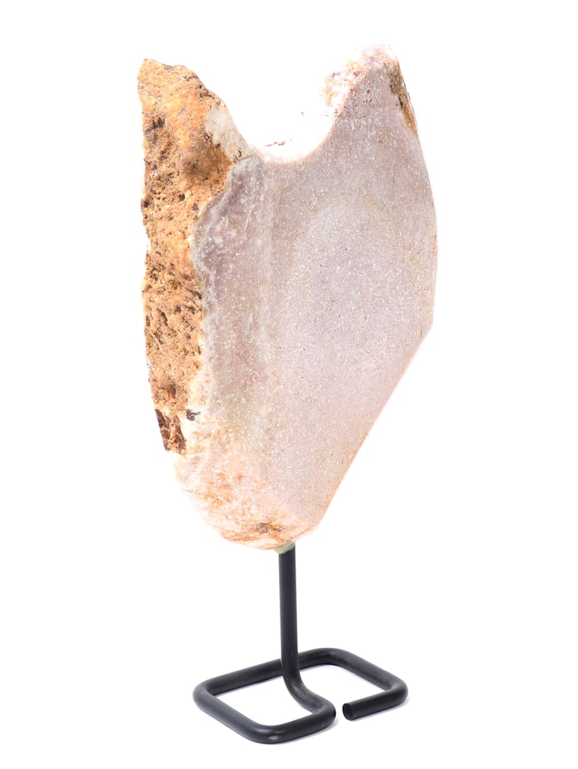 Huge Dinosaur Bone Slab Section - 3