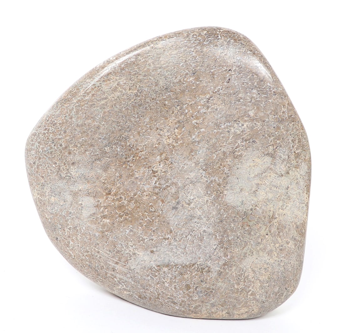 Large Section of Polished Dinosaur Bone: Wonderful polished section of dinosaur bone, likely from a leg bone section or spine. Polished from millions of years under dirt and water. Size 6" H x 6 1/4" W