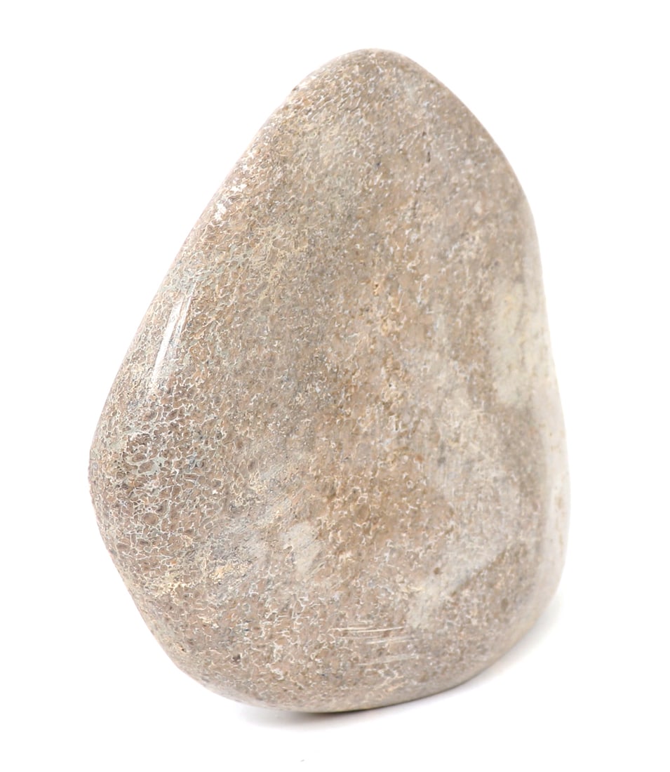 Large Section of Polished Dinosaur Bone - 2