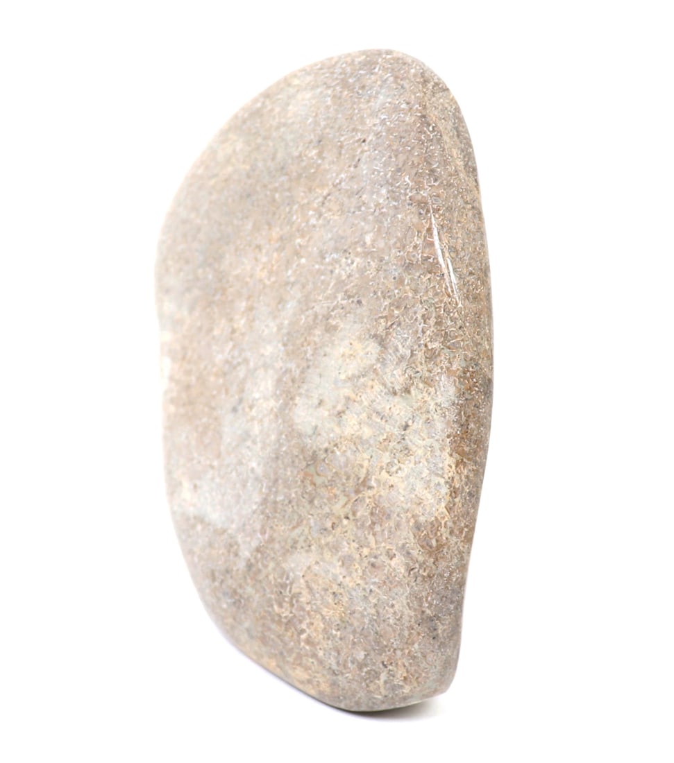Large Section of Polished Dinosaur Bone - 3