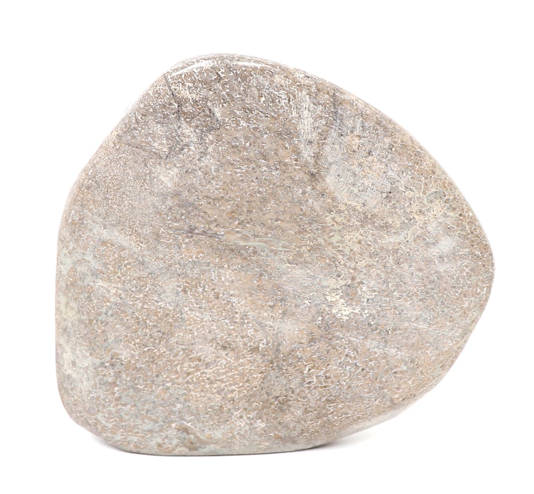 Large Section of Polished Dinosaur Bone - 4