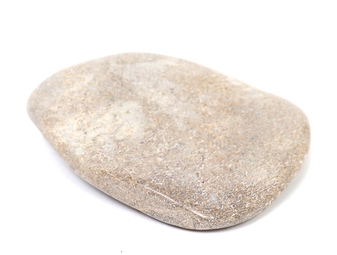 Large Section of Polished Dinosaur Bone - 5
