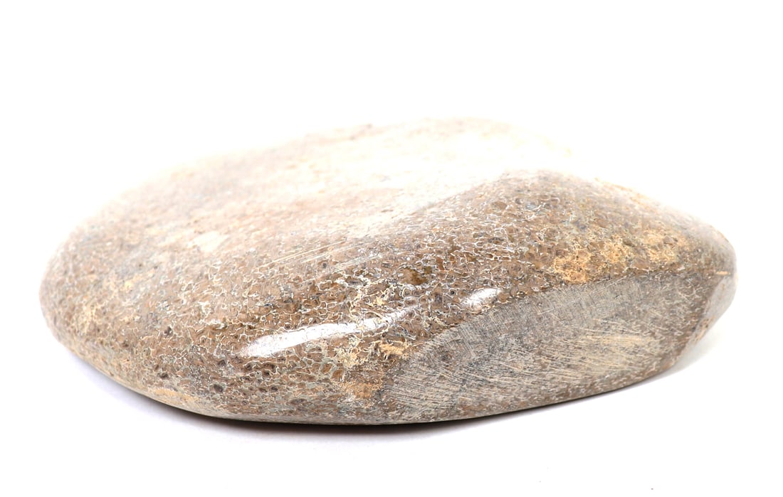 Large Section of Polished Dinosaur Bone - 6
