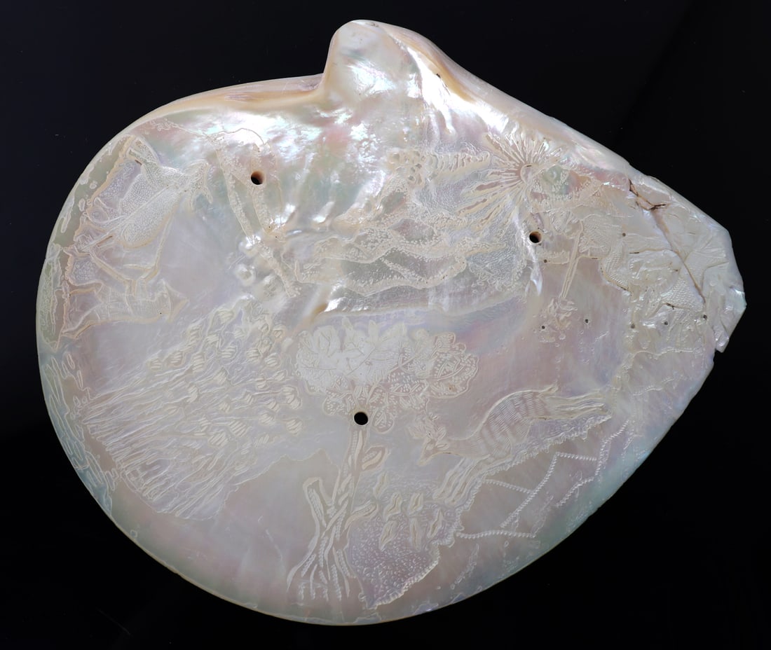 Intricately Carved Clam Shell - 2