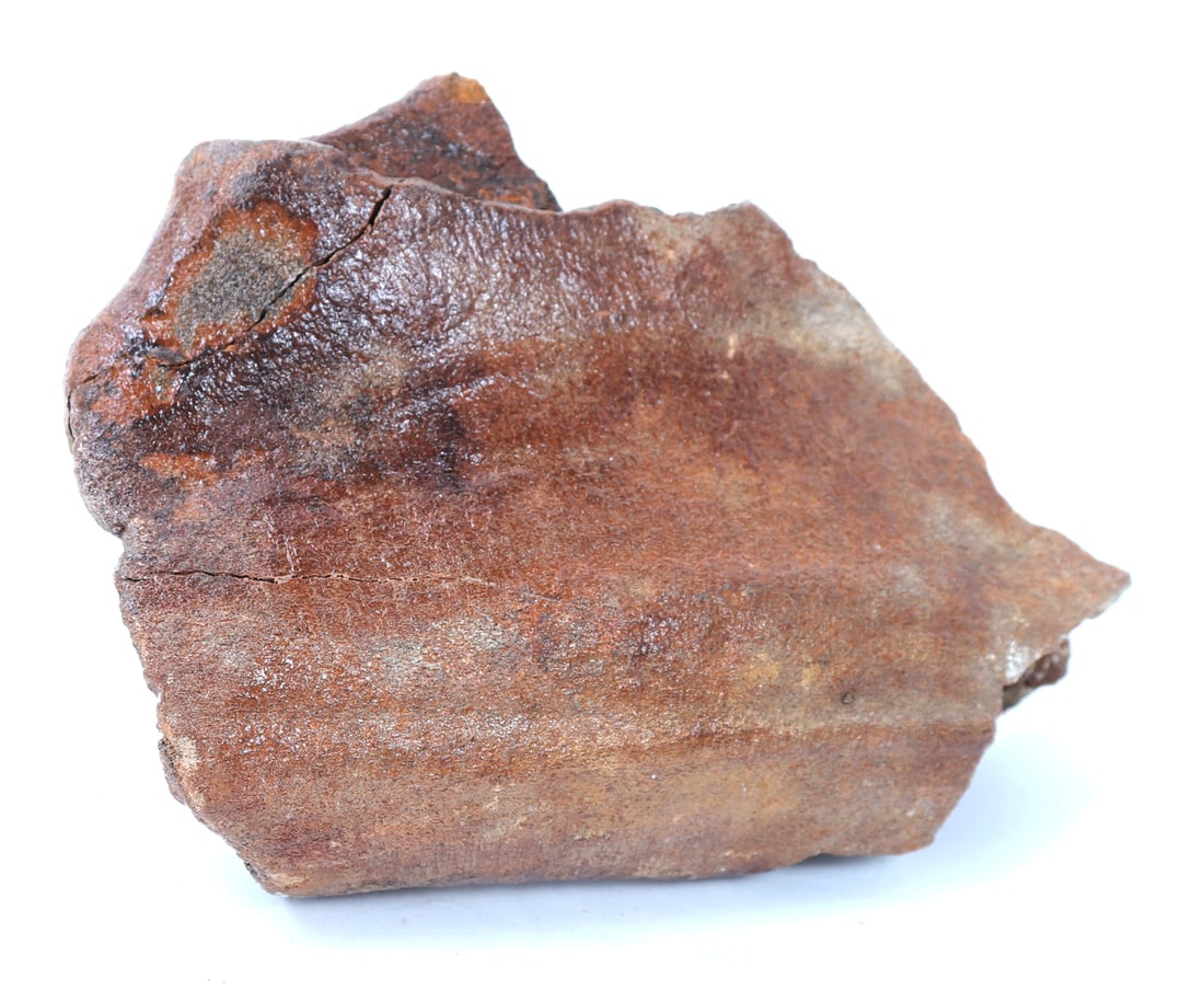 Wonderful Ancient Fossilized Dinosaur Bone: Fossilized ancient dinosaur bone section, possibly from a hip or leg. Wonderful earth encrustation throughout with a vibrant red patina. Size 7" L x 4" W, Weight 406g