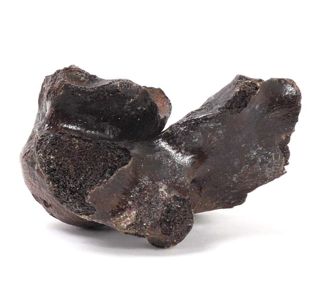 Ancient Fossilized Wooly Mammoth Bone - 3