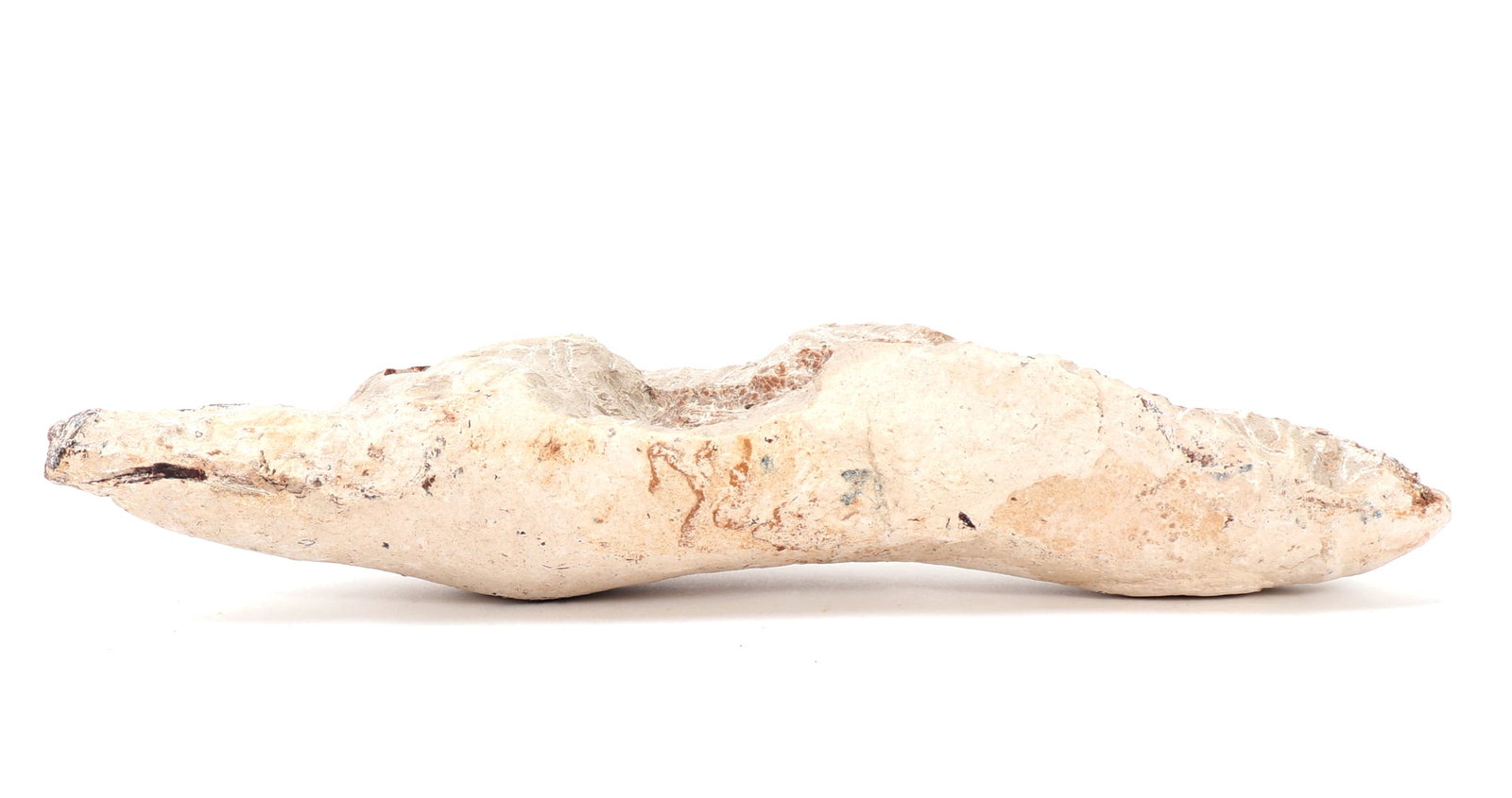 Ancient Fossilized Fish Section - 2