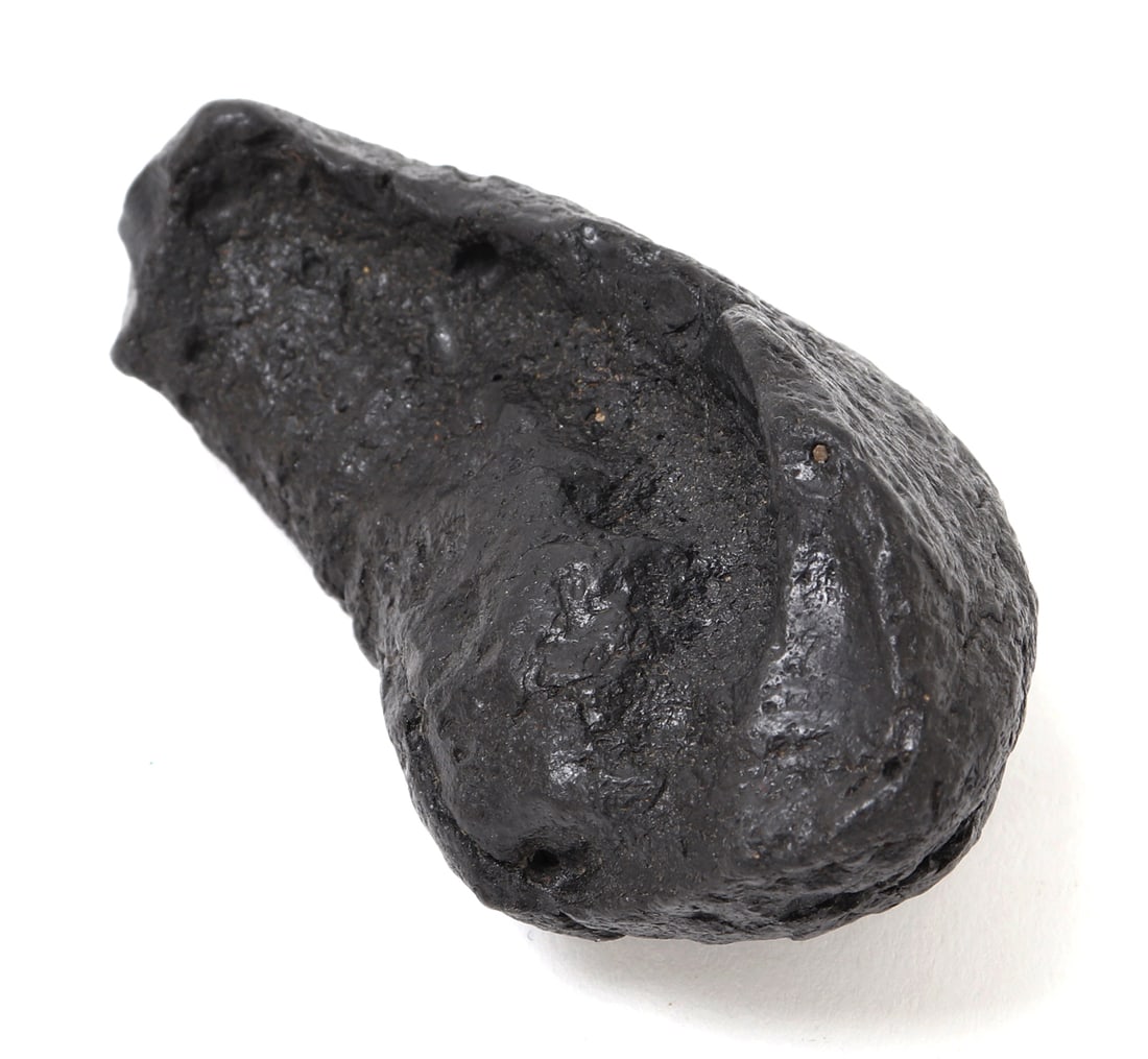 Ancient Dinosaur Bone Section - 2