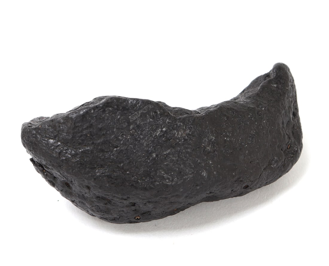Ancient Dinosaur Bone Section - 3