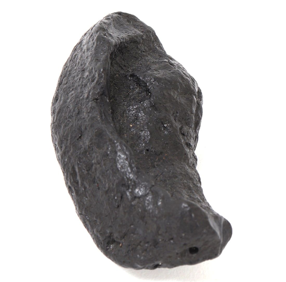 Ancient Dinosaur Bone Section - 4