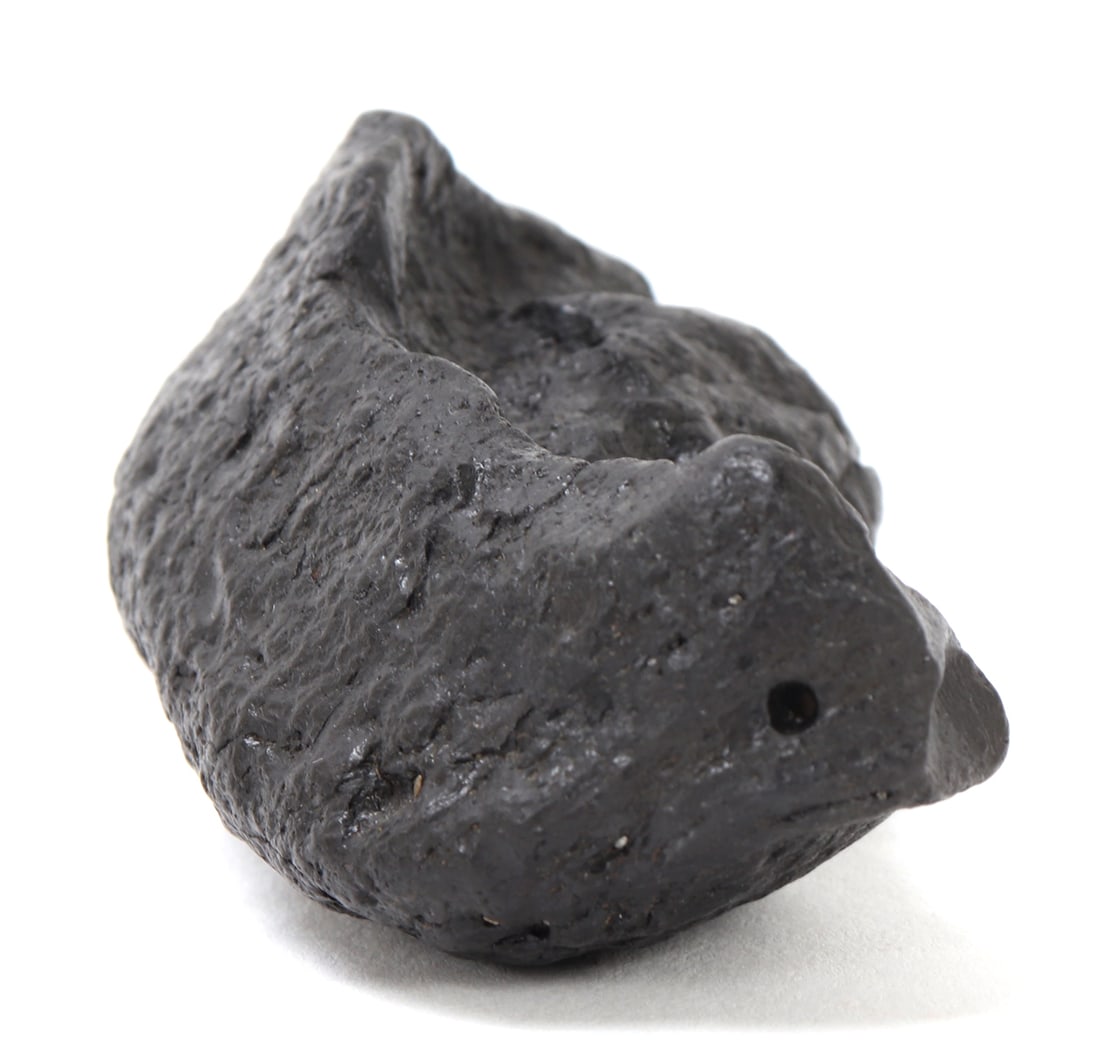 Ancient Dinosaur Bone Section - 5