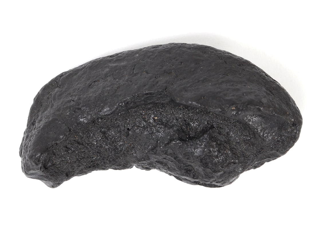 Ancient Dinosaur Bone Section - 6