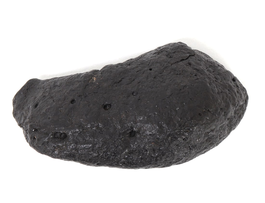 Ancient Dinosaur Bone Section - 7