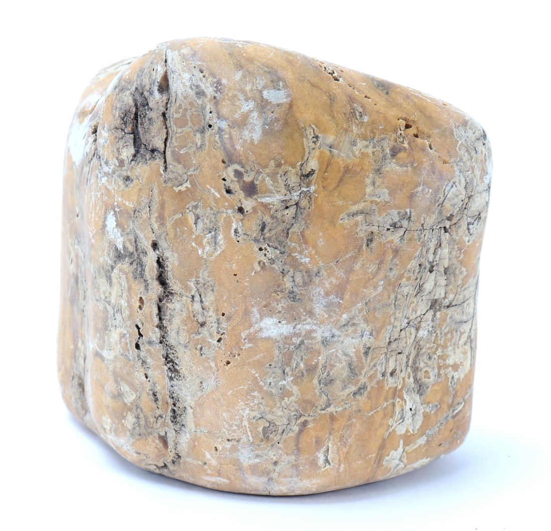 Fossilized Petrified Wood Section: Wonderful section of ancient petrified wood. Smooth to the surface with natural pitting throughout. Earthen coloring and deposits with orange and green coloring throughout. Size 3 3/4" L, Weight 260 g