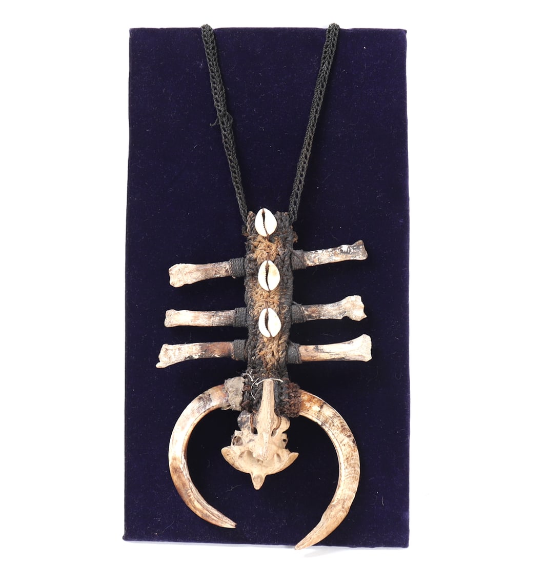 Papua New Guinea Tusk and Shell Necklace: Papua New Guinea necklace or chest ornament composed of braided fiber cord, cowrie shells, animal bone elements, and paired curved tusks, likely pig or boar tusks. The central woven body is bound