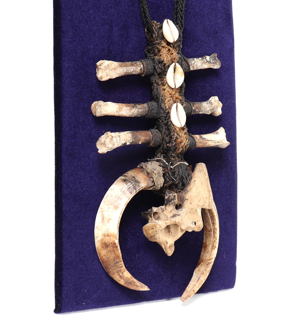 Papua New Guinea Bone and Shell Necklace - 2