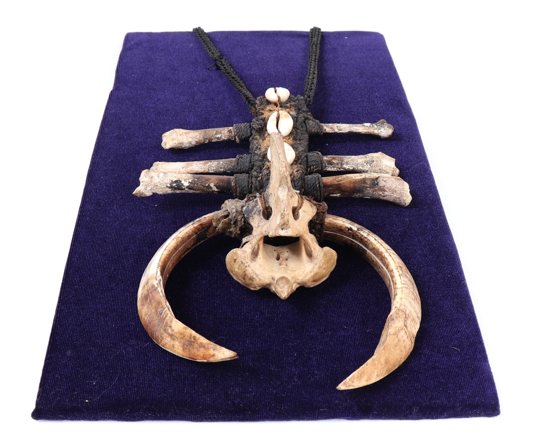 Papua New Guinea Bone and Shell Necklace - 4