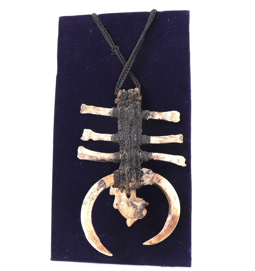 Papua New Guinea Bone and Shell Necklace - 5