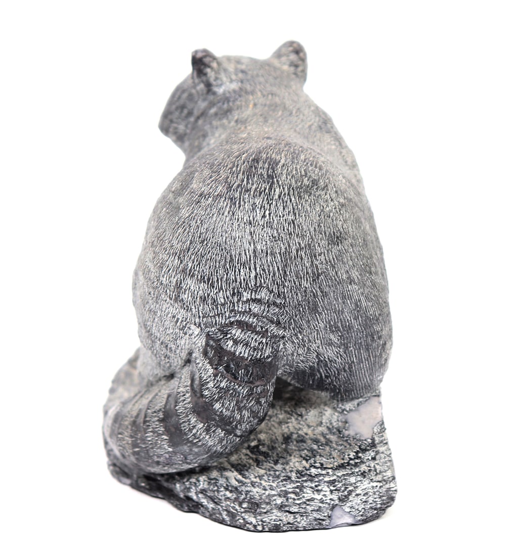 Lovely Cast Racoon Statue - 3