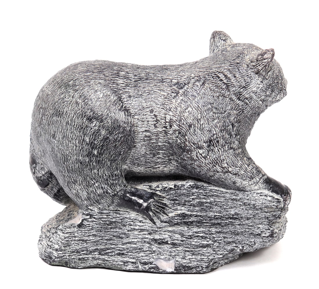 Lovely Cast Racoon Statue - 4