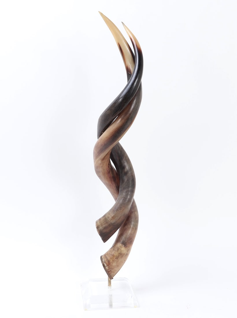 Mounted Interwoven Kudu Horns - 2