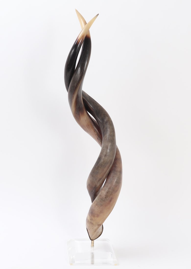 Mounted Interwoven Kudu Horns - 3