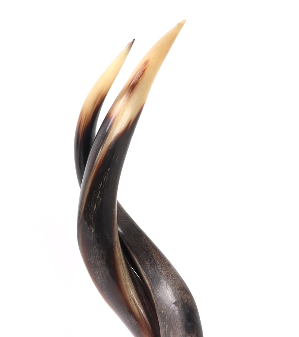 Mounted Interwoven Kudu Horns - 5