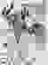 item-54060538=3