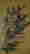 item-54113945=3