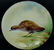 2pc BLAKEMAN & HENDERSON LIMOGES GAME PLATES - 3
