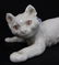 MEISSEN GERMAN PORCELAIN CAT FIGURINE - 7